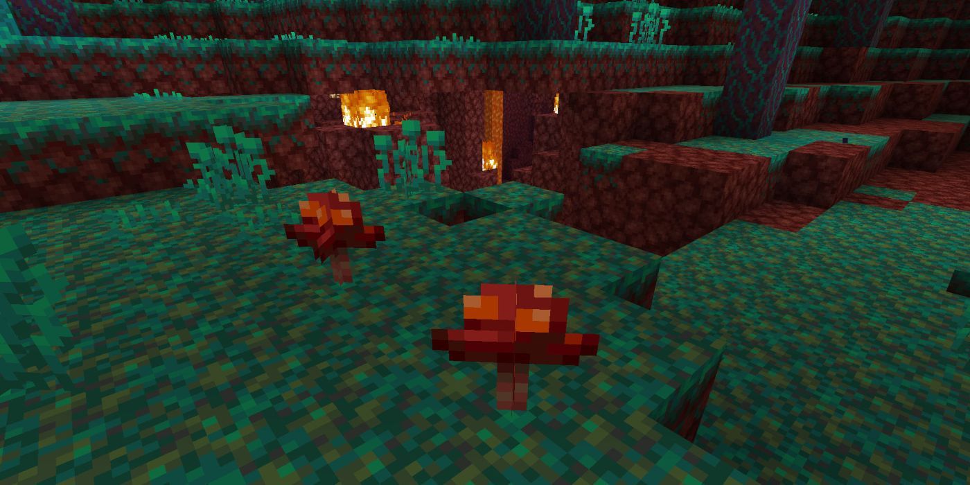 Minecraft Crimson Fungi In Warped Forest Biome In The Nether