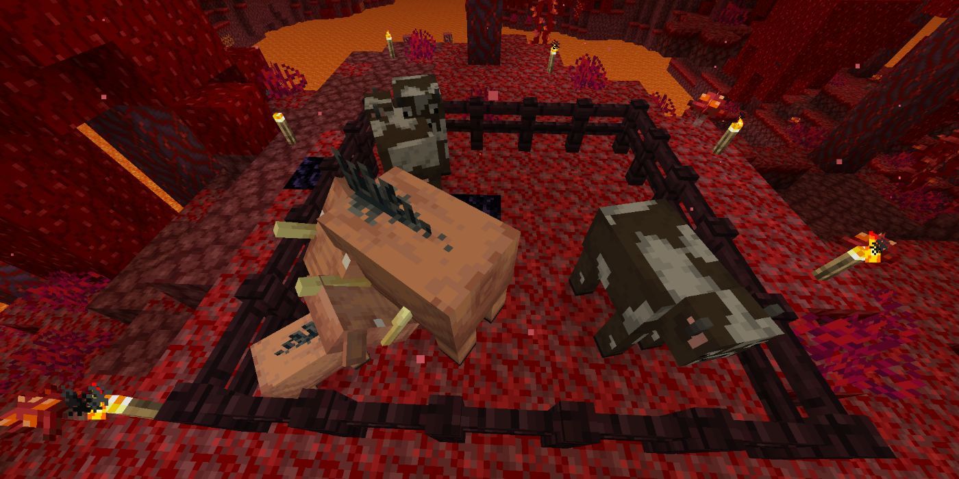 Minecraft Hoglin And Cow Pen In The Nether