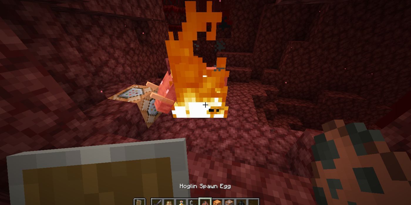 Minecraft Hoglin Taking Fire Damage