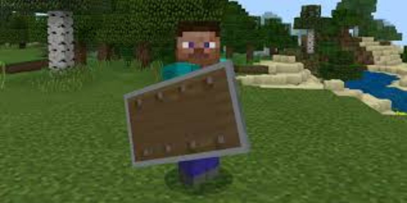 Minecraft Player With A Shield