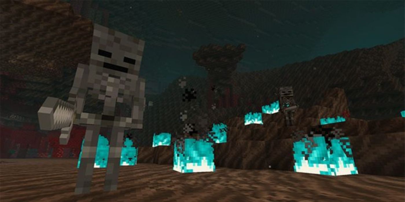 Wither Skeleton and Soul Fire