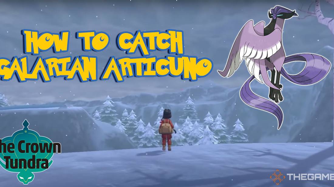Where is the Bird in Crown Tundra: Ultimate Guide to Find It Fast