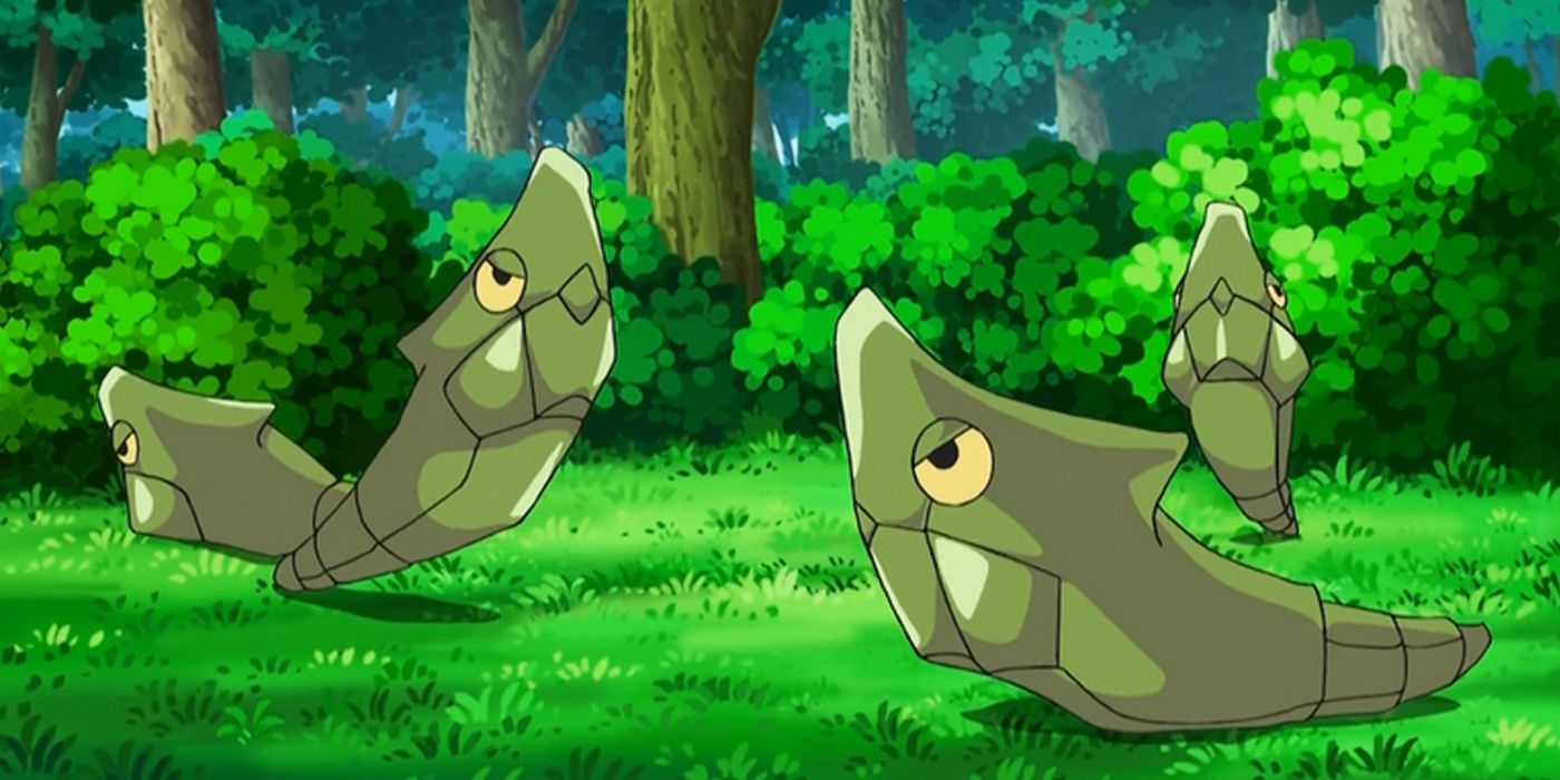 Various Metapods hanging out on the floor of a forest in the Pokemon anime