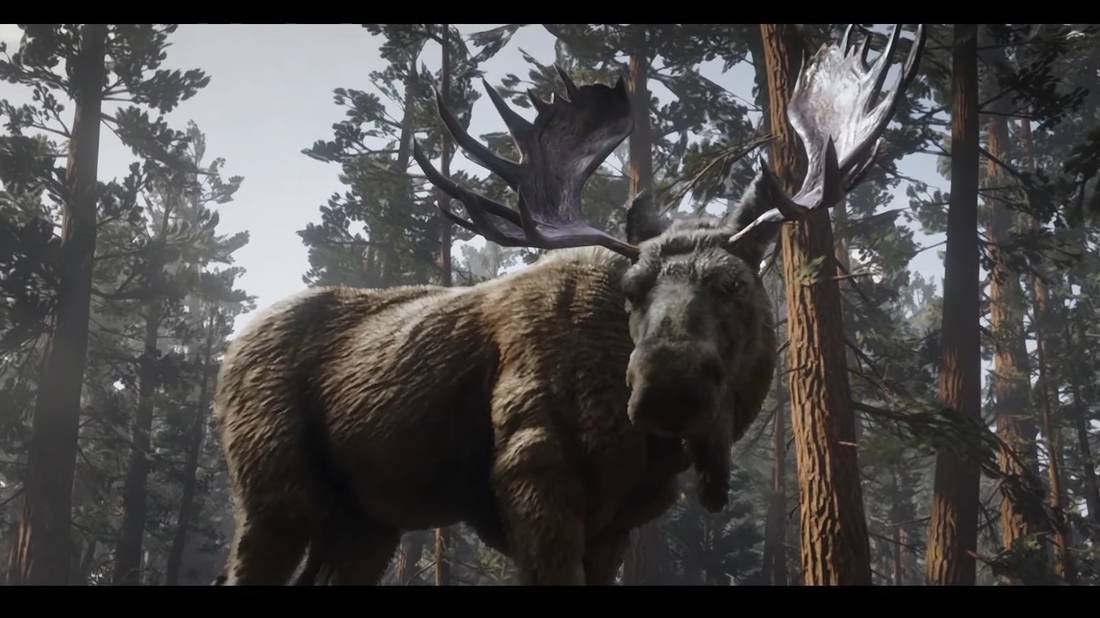 Red Dead Online: Legendary Ruddy Moose Guide