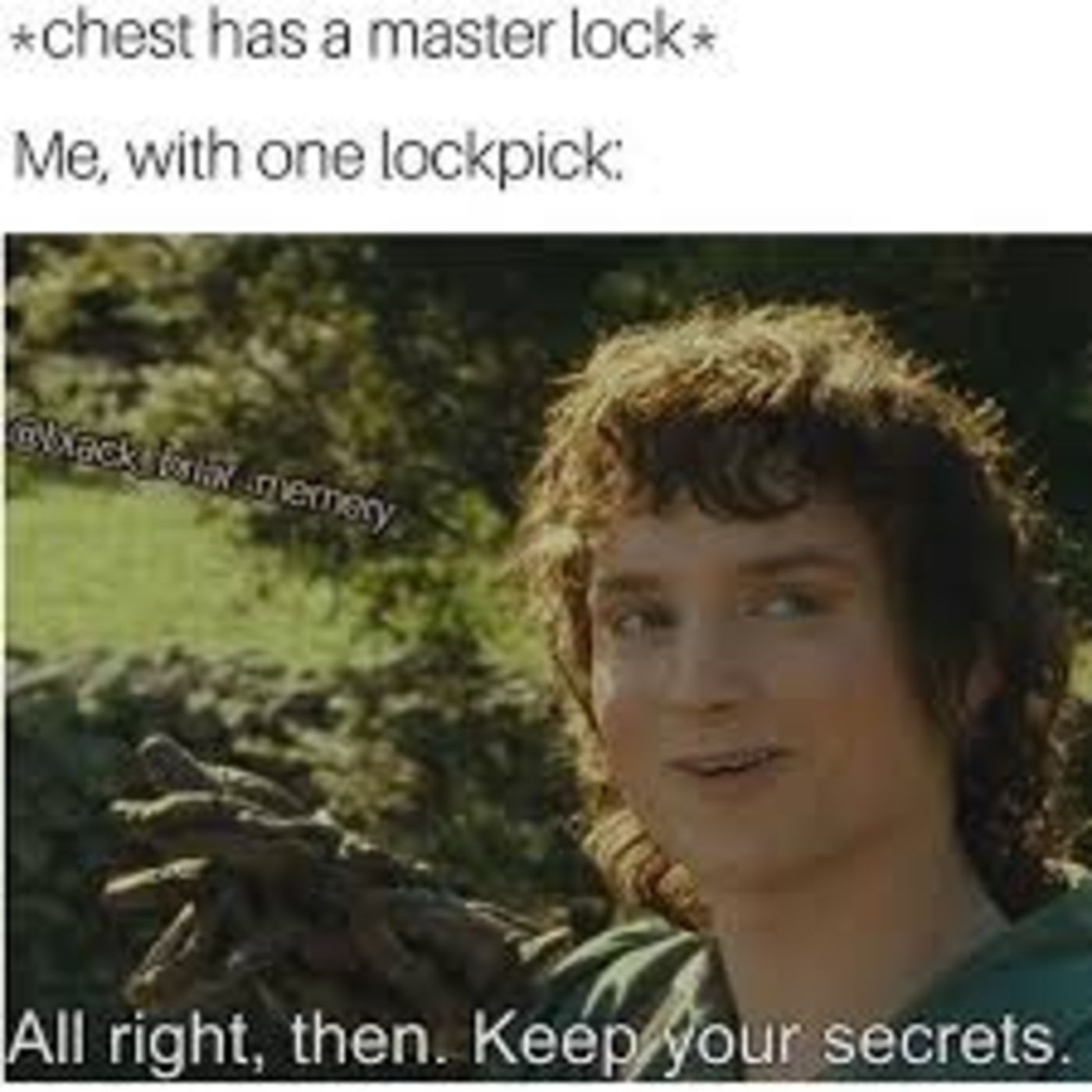 Skyrim Meme About Master Locks