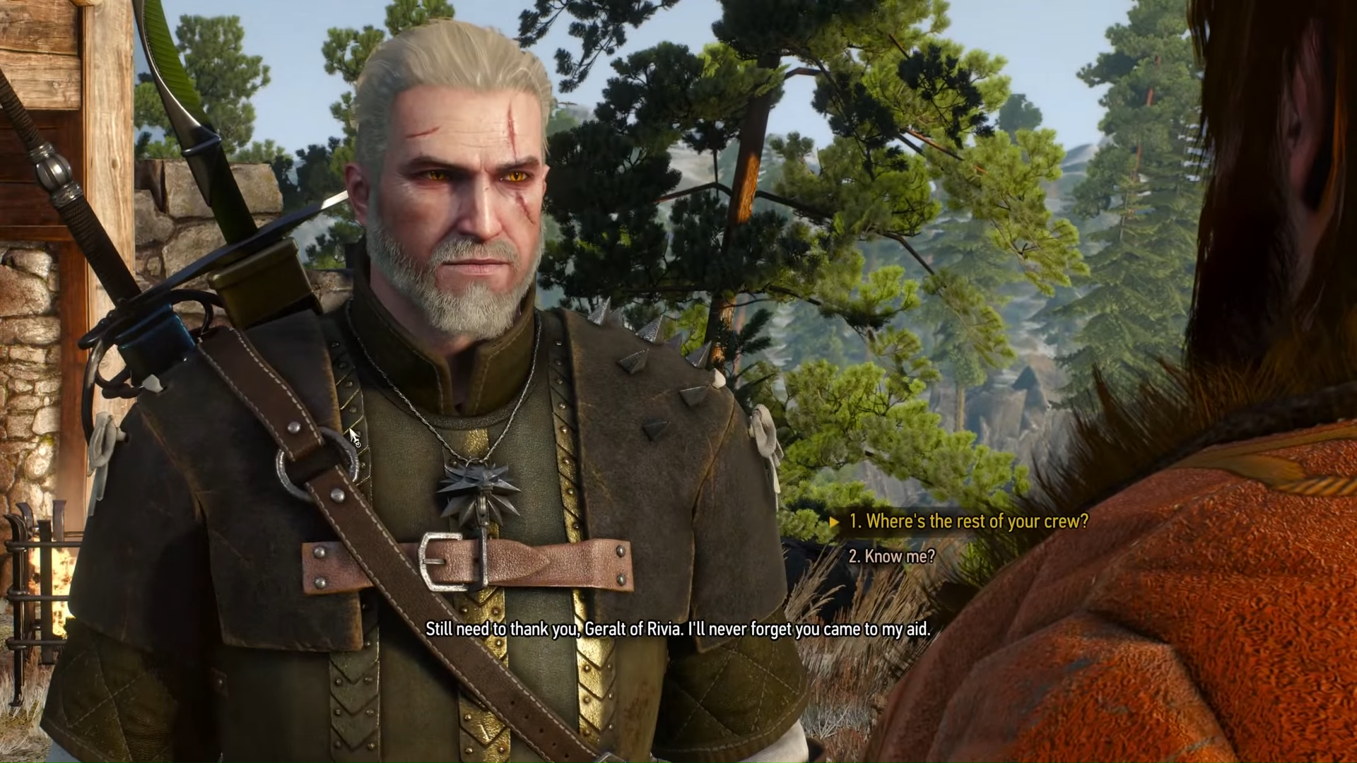The witcher 3 the wolven storm перевод фото 36