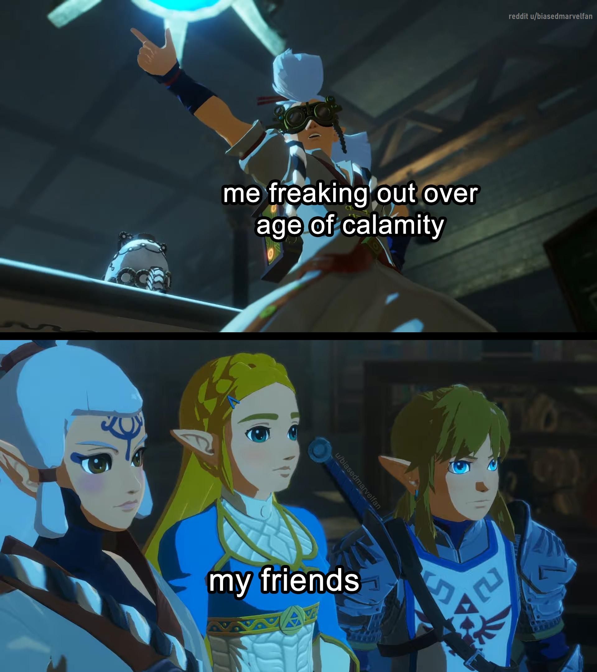 Hyrule Warriors: Age of Calamity - 10 Memes That Are Too Good