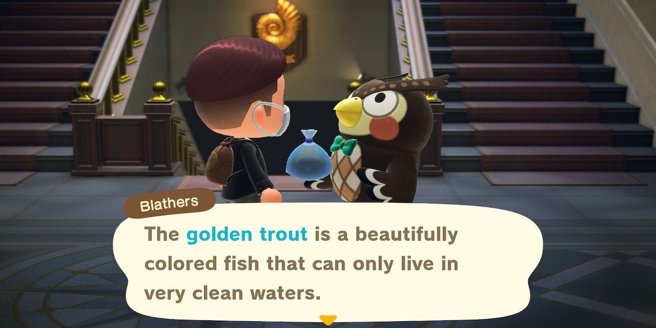 blathers golden trout animal crossing new horizons
