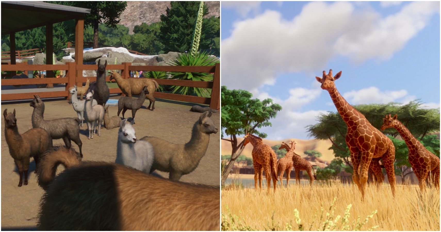 Planet Zoo: 10 New Animal Color Variations That Make The Game Even Better