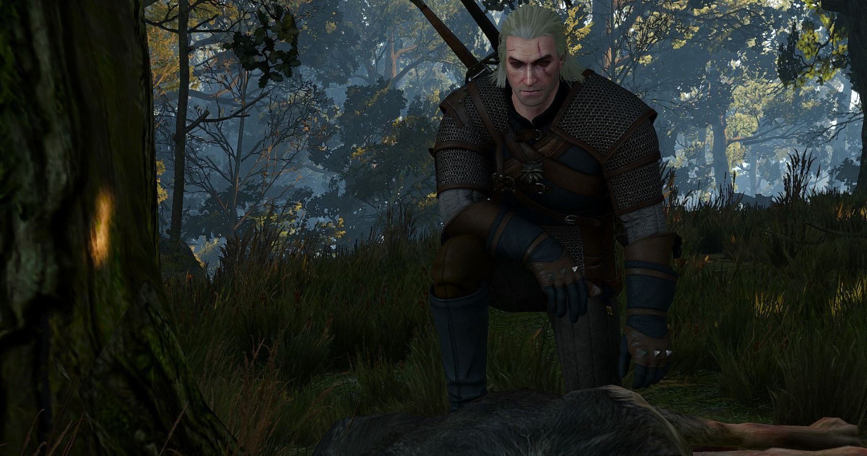 witcher 3 wild at heart outcomes