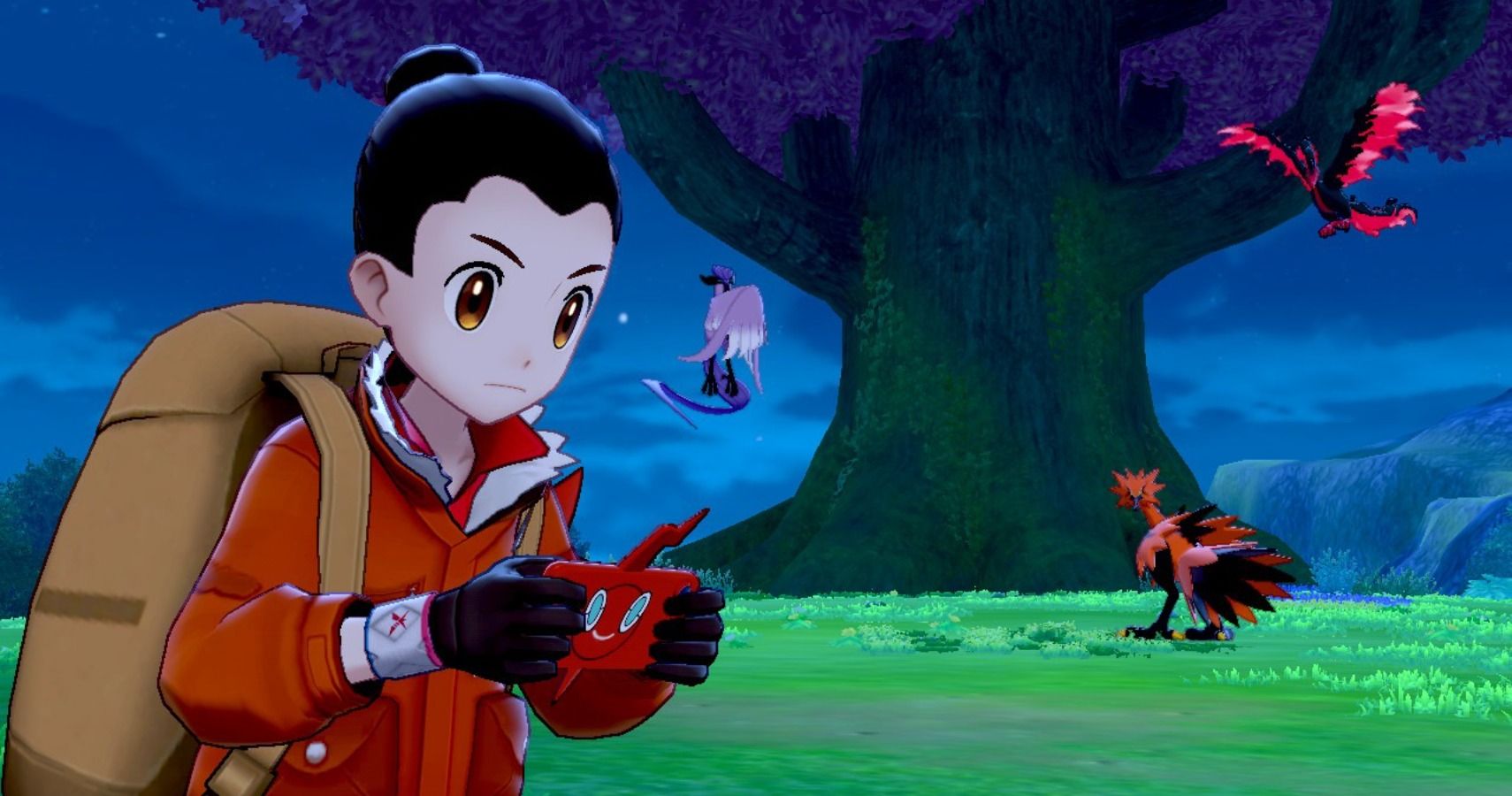Pokémon Sword and Shield: Isle of Armor review - The Verge