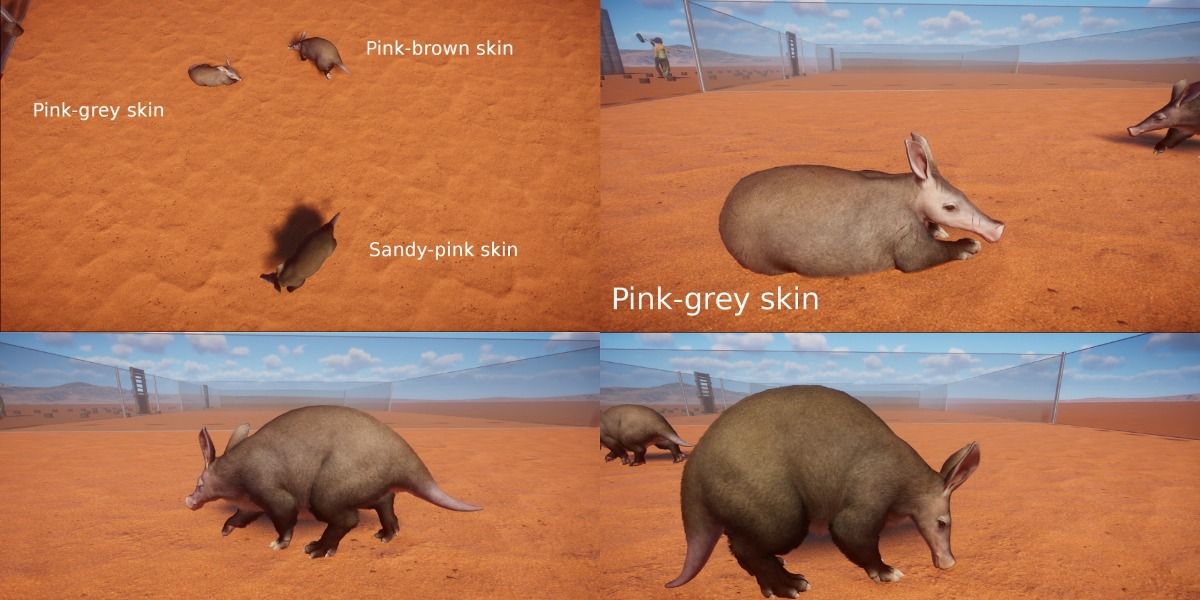 Planet Zoo: 10 New Animal Color Variations That Make The Game Even Better