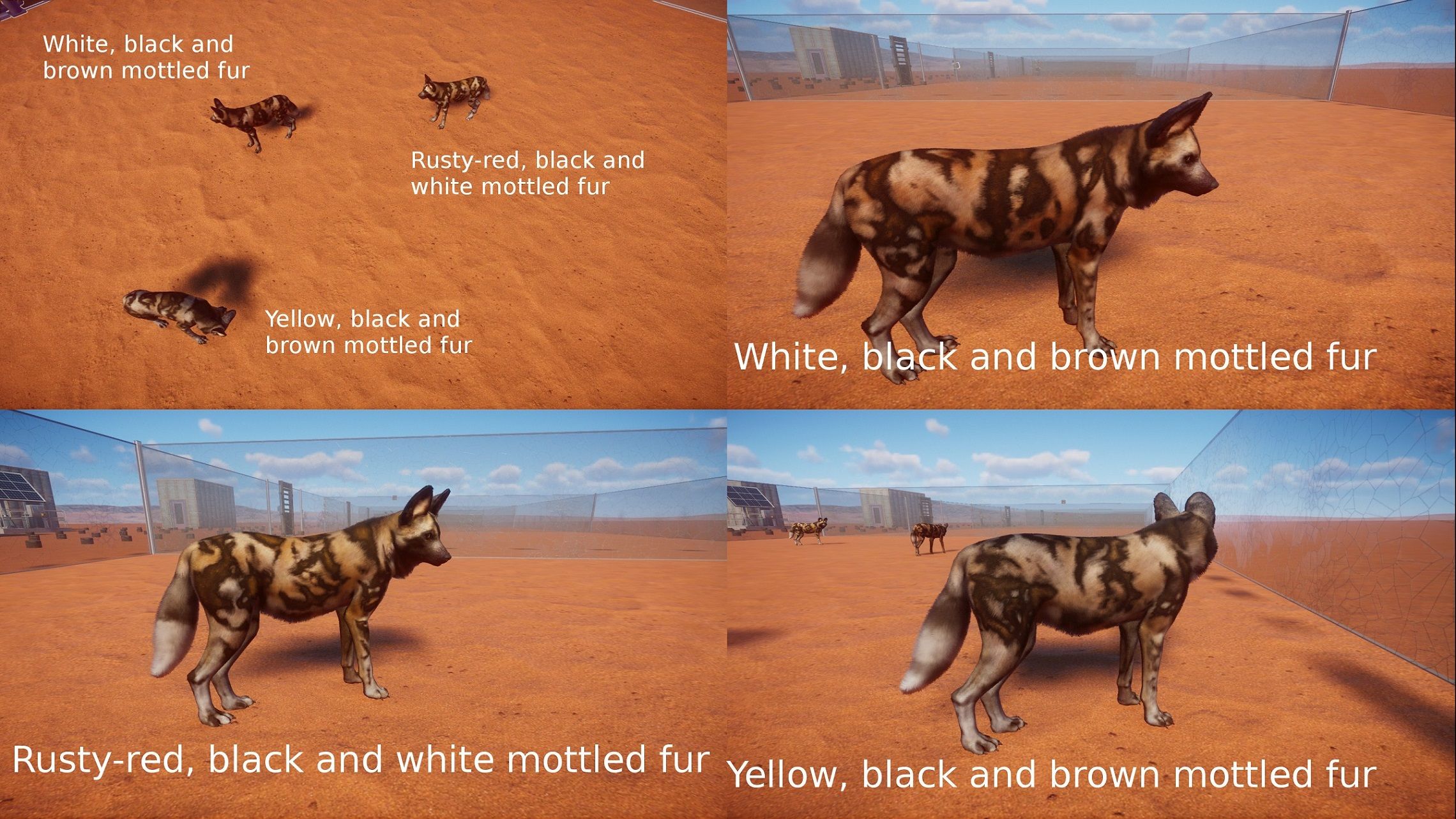 Planet Zoo: 10 New Animal Color Variations That Make The Game Even Better