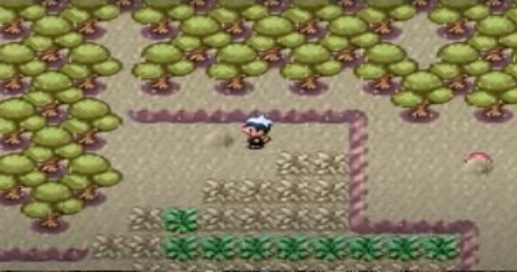 pokemon ruby destiny walkthrough