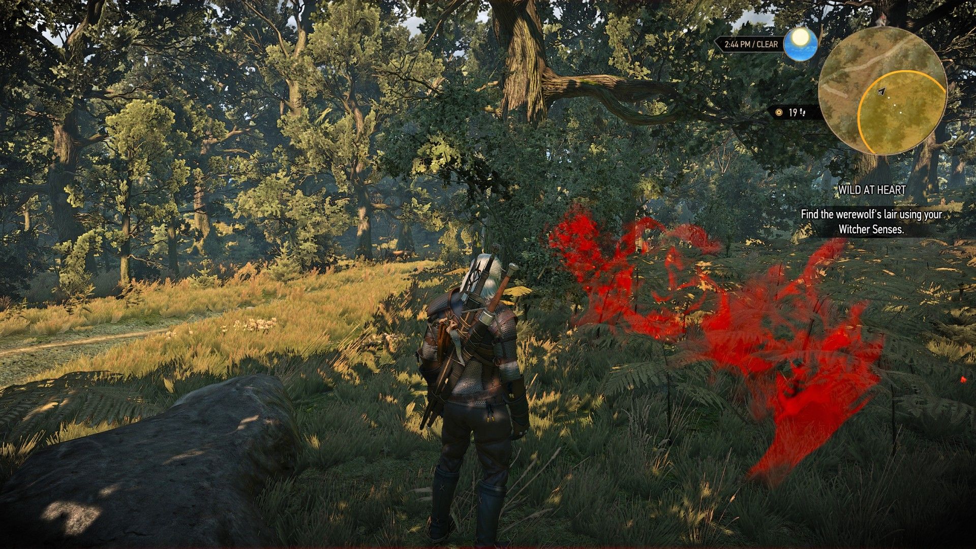 the witcher 3 wild at heart locked chest