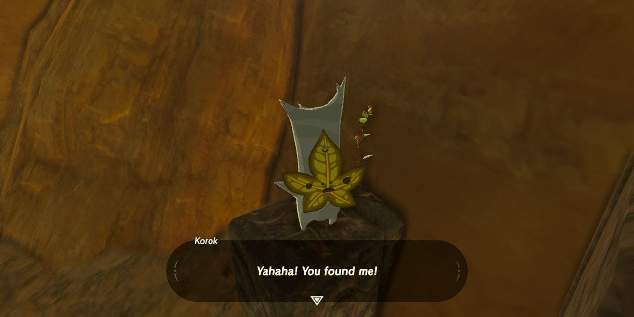 Finding a Korok in Breath of The Wild