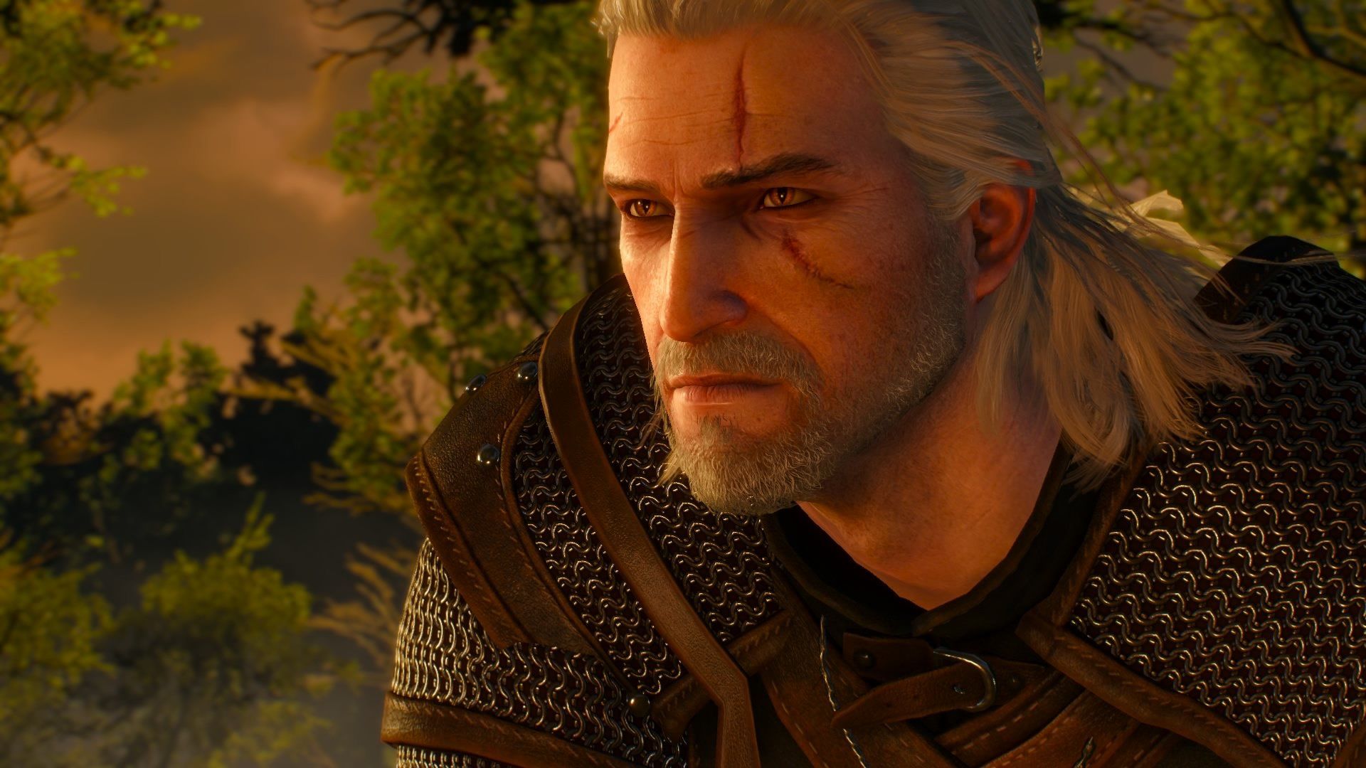 geralt side profile shot with field background.