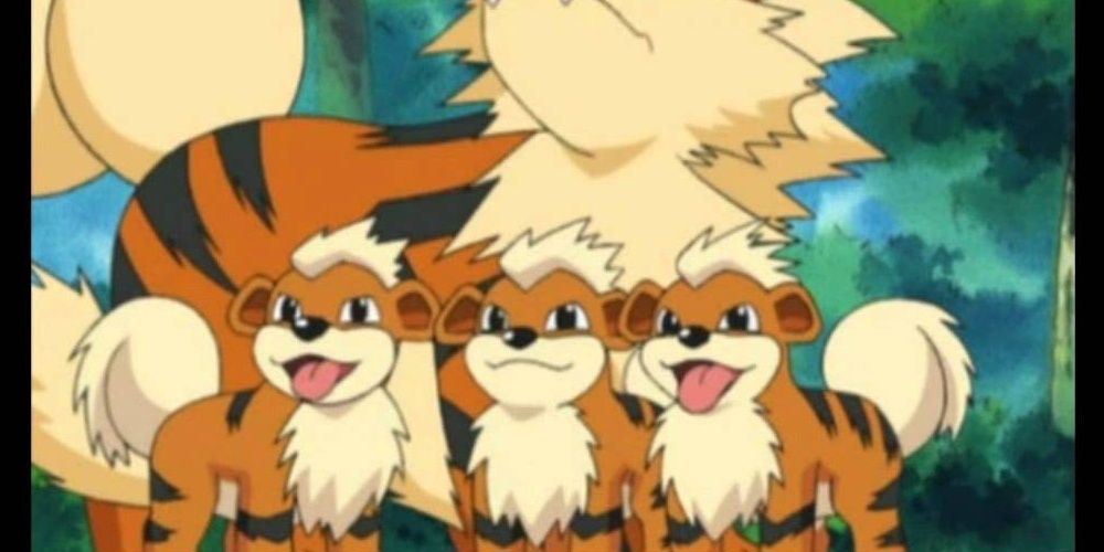 Puppy Litter of Growlithes