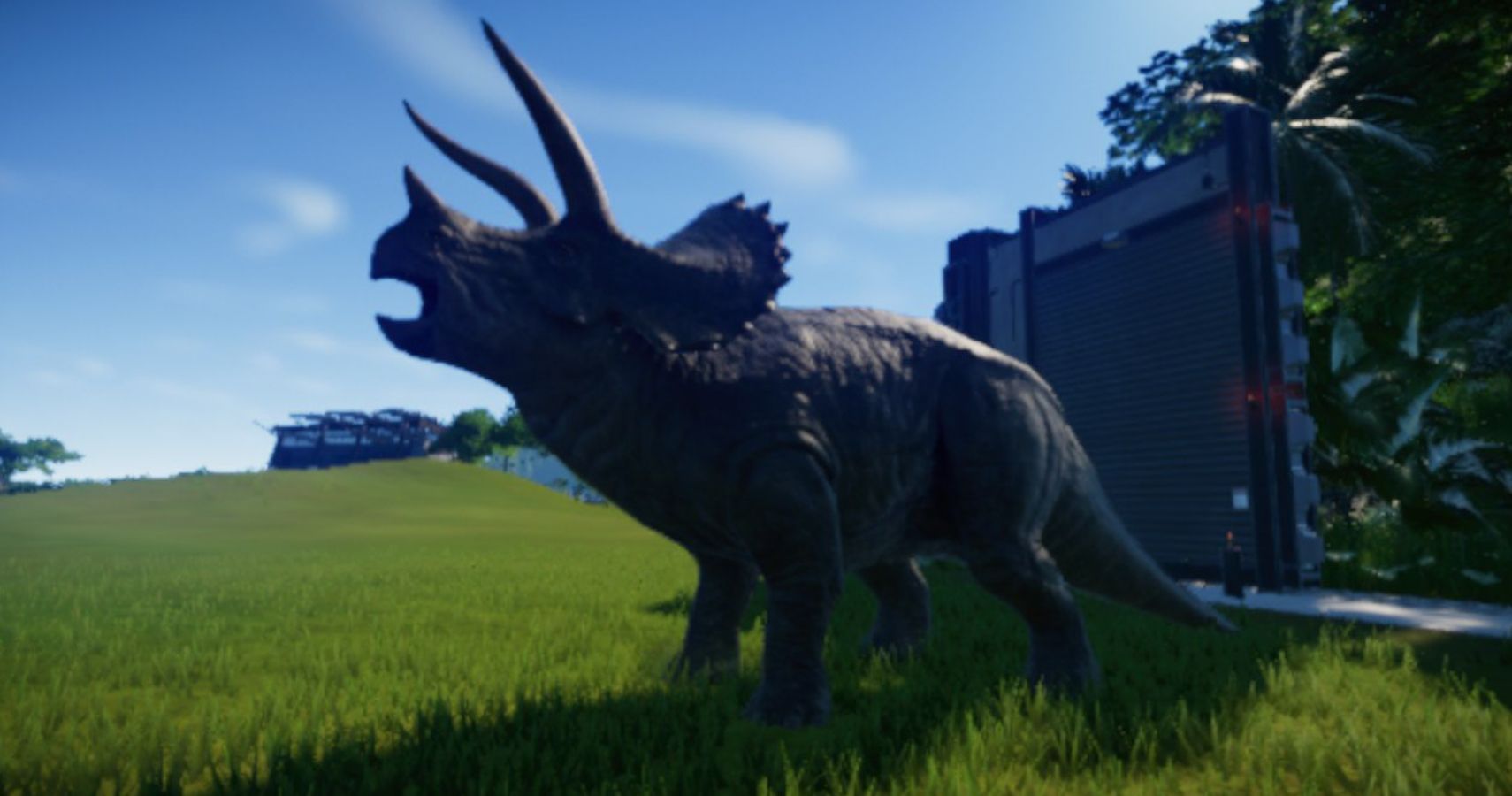 close up of triceratops being released