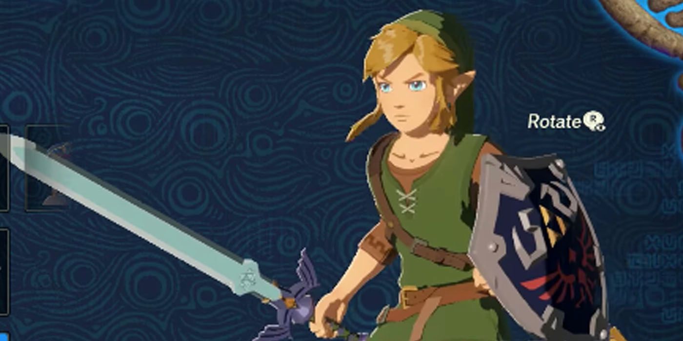 Link Tunic of the Wild