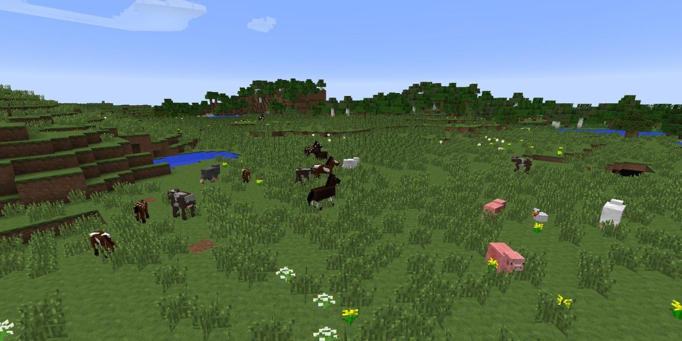 Minecraft plains biome with passive mobs