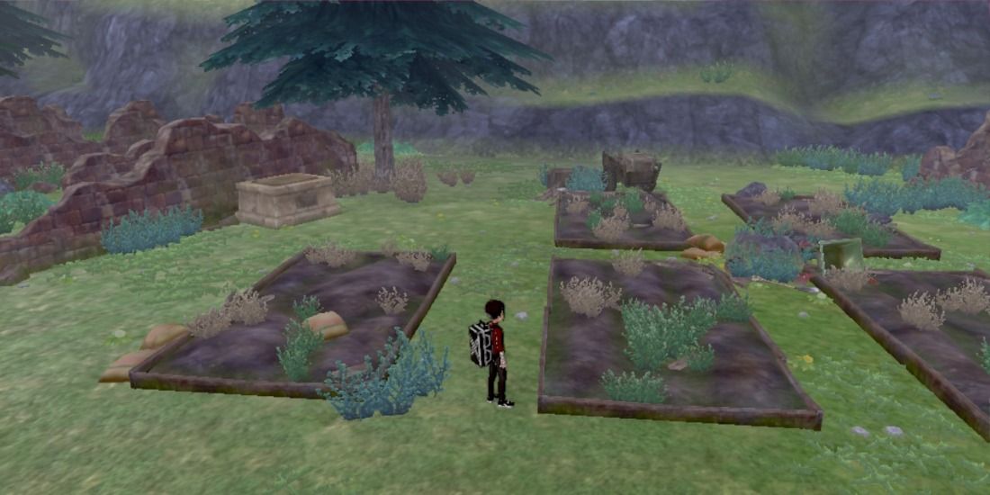 The graveyard field for planting carrots in The Crown Tundra of Pokemon Sword Shield