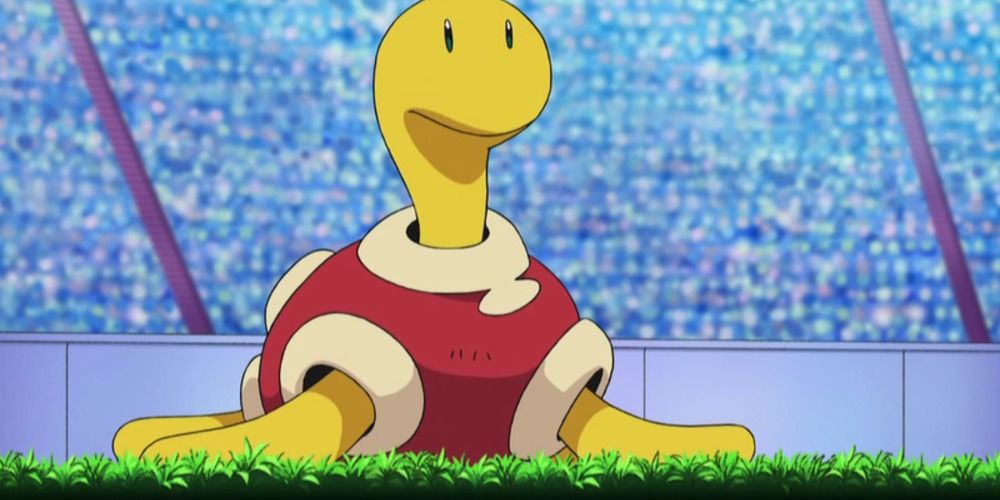 shuckle on the battlefield in the anime