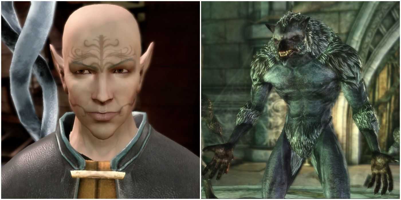 image Zatharian next to a Werewolf from Dragon Age Origins