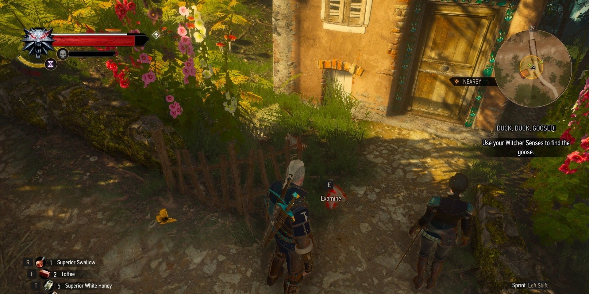 Witcher 3 Duck, Duck, Goosed