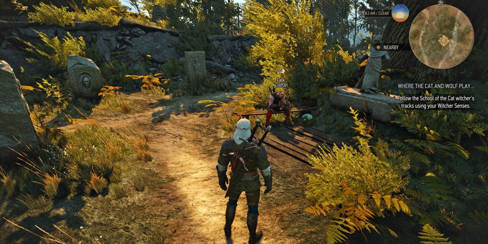 Witcher 3 Gaetan