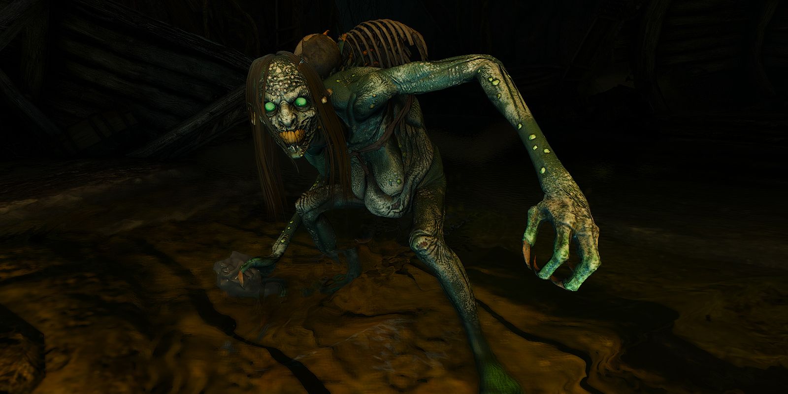 Witcher 3 Water Hag
