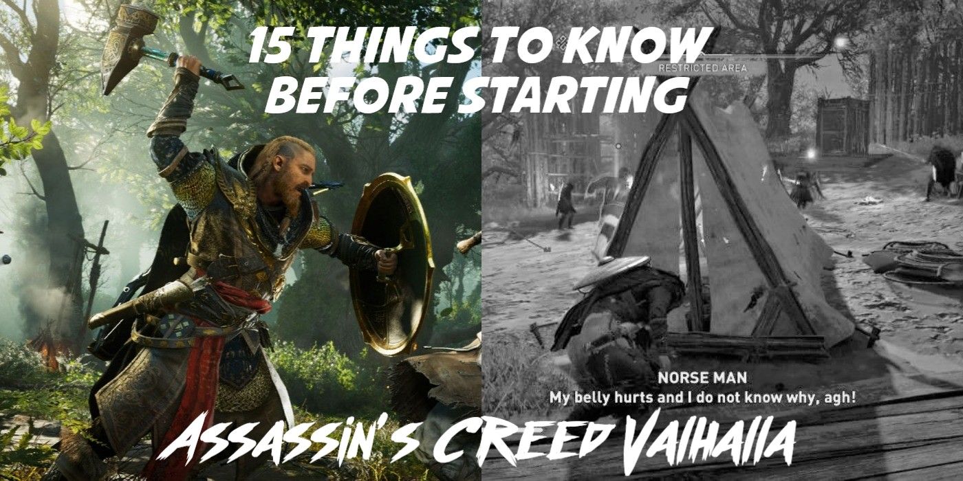 The feature image for things players should know before starting Assassin's Creed Valhalla