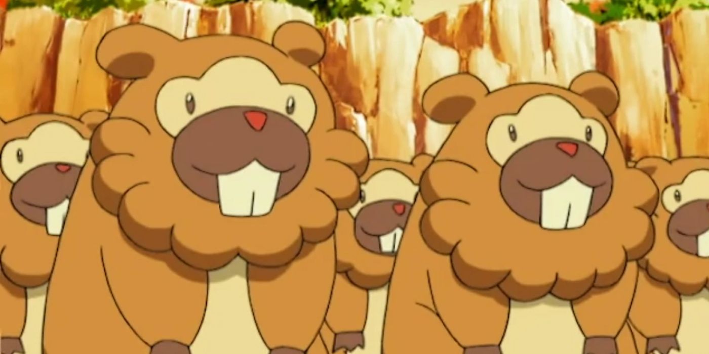 several adorable bidoof just waiting to have their potential unlocked