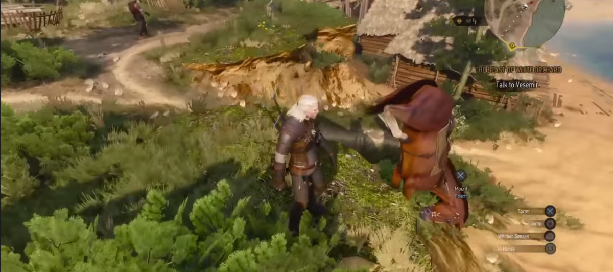 witcher 3