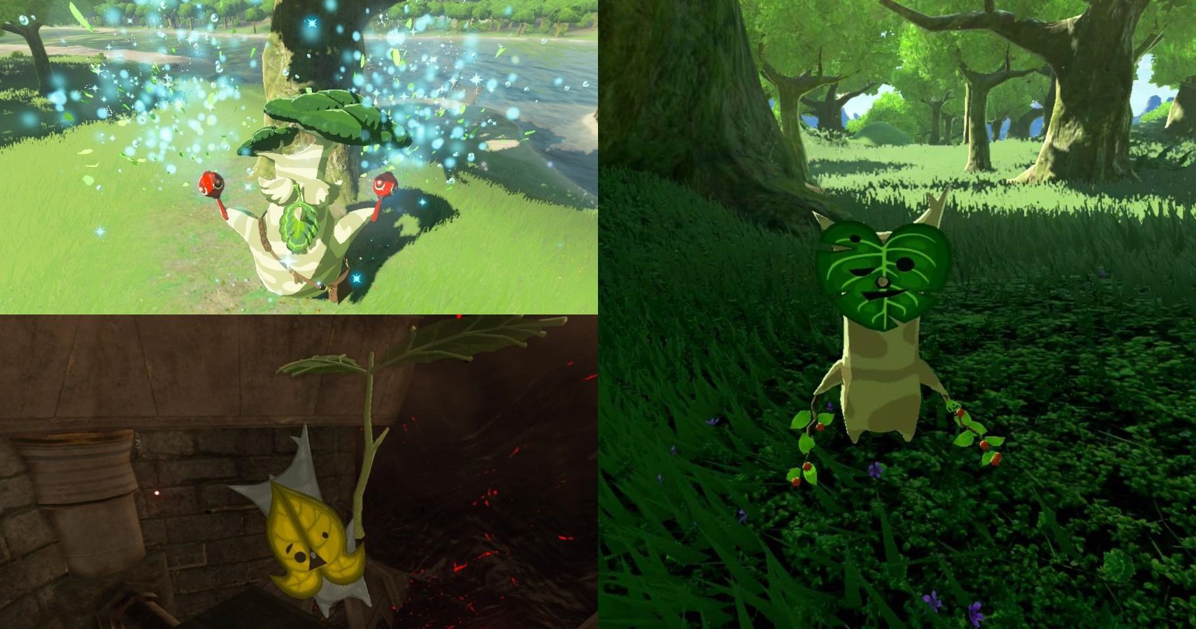 feature image photo for 10 funniest korok dialogues