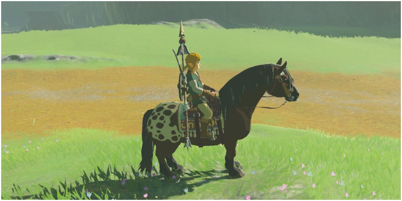 5 Things The Next Breath Of The Wild Should Borrow From Genshin Impact ...