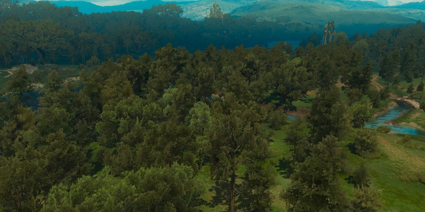 Blessure Forest