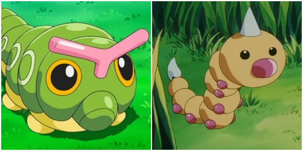 caterpie and weedle in the pokemon anime