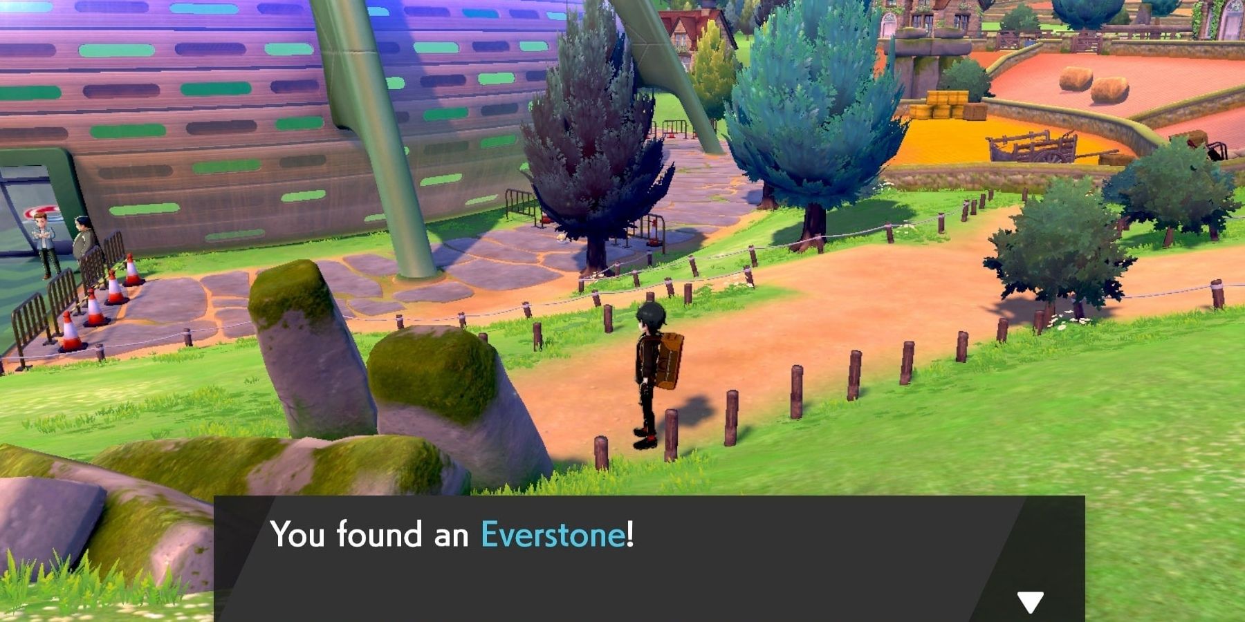 finding an everstone in sword and shield
