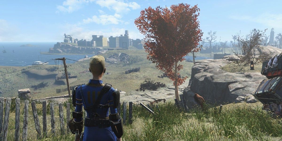 The Sole Survivor looking at the wasteland