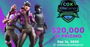 Upcoming Fortnite Tournament To Benefit Charity For Rare Diseases
