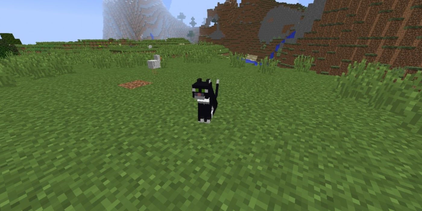 Minecraft Screenshot Of Tamed Cat