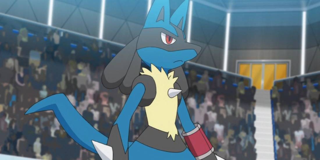 Lucario staring into battle in the Pokemon anime