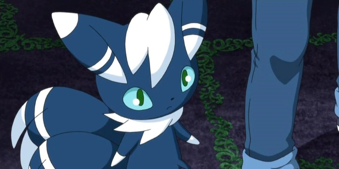 Male Meowstic standing by its owner from the Pokemon Anime