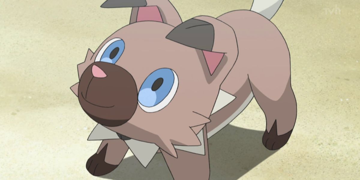 Anime Pokemon Rockruff Obedient