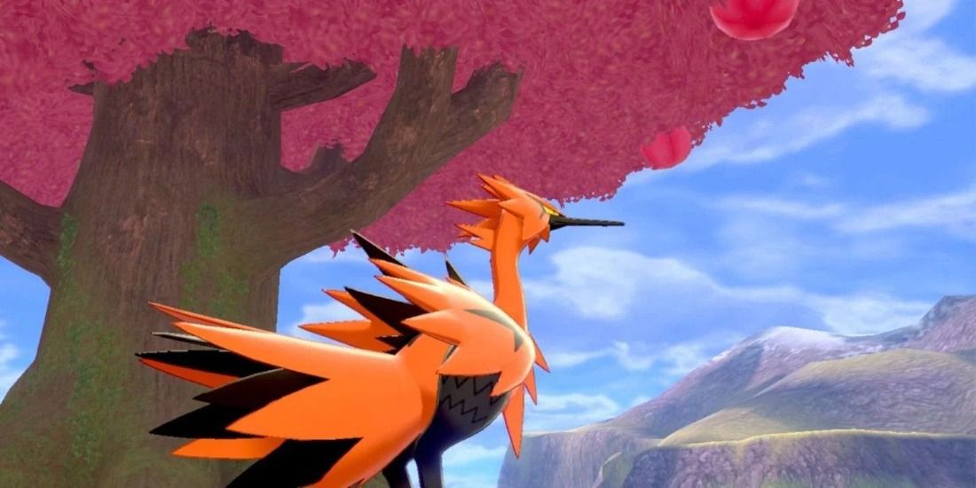 Galarian Zapdos looking at some fruit in Pokemon Sword & Shield