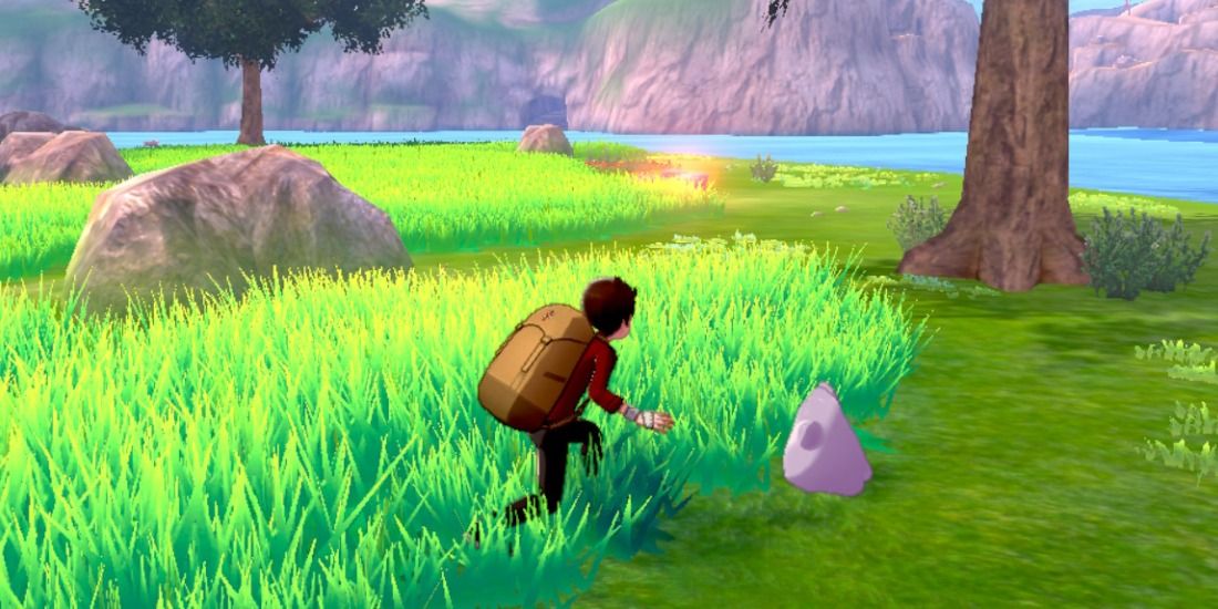 Trainer sneaking up on a Ditto in Pokemon Sword & Shield