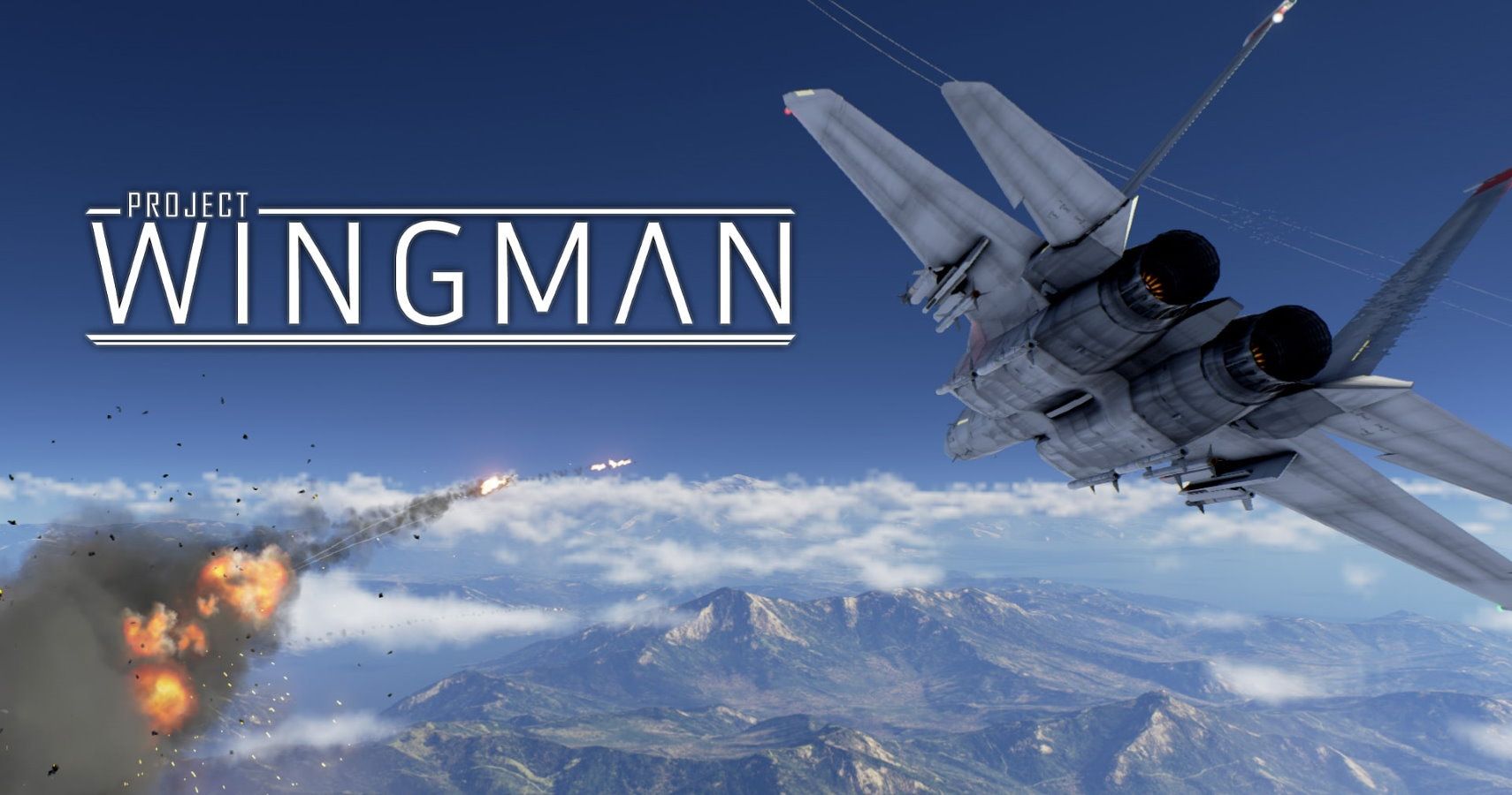 Project wingman что это