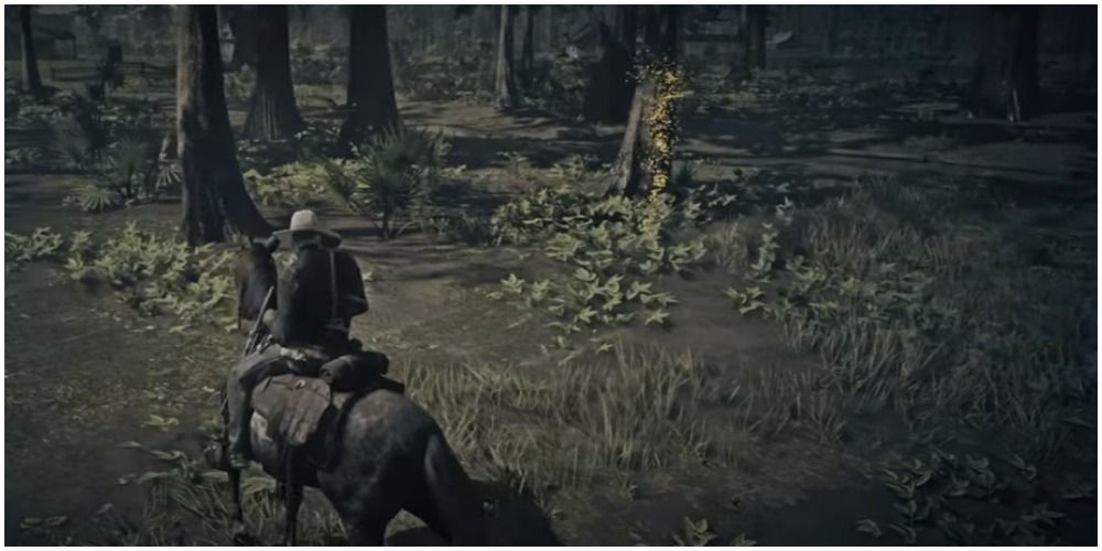 Red Dead Redemption 2 Bull Gator First Clue