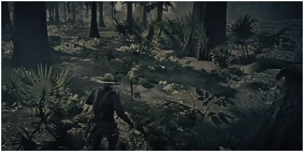 Red Dead Redemption 2 Bull Gator Second Clue